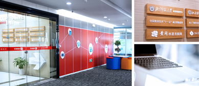 睿創(chuàng)優(yōu)學(xué)與朗迅 品牌策劃設(shè)計(jì)的武漢力量