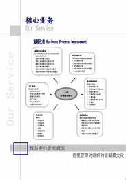 流程改善咨詢項(xiàng)目 企業(yè)提質(zhì)增效的智能引擎